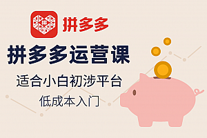 拼多多运营课,适合小白初涉平台,低成本入门