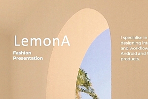 国外高端设计作品集通用PPT模板